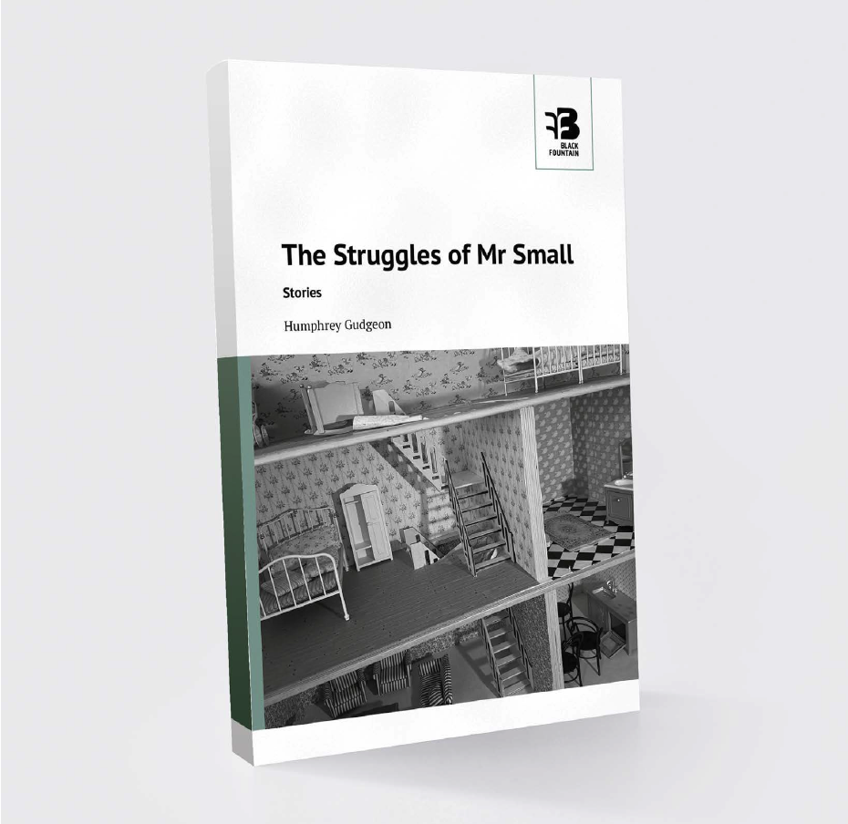 The Struggles of Mr Small